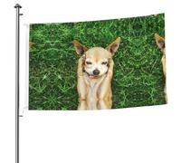 Drapeau imprimé chien chihuahua 1,5 x 2,4 m, léger et durable, parfait pour la décoration extérieure et les événements