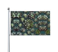 Drapeau imprimé de nombreuses plantes grasses pour l'extérieur (91,4 x 152,4 cm) - Idéal pour le jardin, la cour et les décorations de vacances