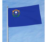 Drapeau imprimé drapeau de l'État du Nevada - 1,5 x 0,9 m - Drapeau décoratif simple face - À accrocher dans les balcons de pelouse d'intérieur et d'extérieur