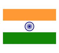 Drapeau Inde (19.5x13cm) - Sticker/Autocollant
