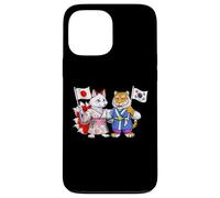 Drapeau Japon Corée du Sud Racines Japonaises-Coréennes Coque pour iPhone 13 Pro Max