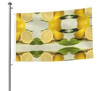 Drapeau jaune citron double face avec œillets - 1,5 x 2,4 m - Drapeau décoratif pour patio, porche, événement de groupe.