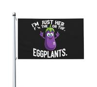 Drapeau « Je suis juste là pour les aubergines » 90 x 150 cm, double face, décoration murale populaire pour jardin ; tapisserie « Je suis juste là pour les aubergines » pour salle de classe