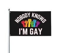 Drapeau LGBTQ « Personne ne sait que je suis gay » de 90 x 150 m pour jardin ou cour extérieure