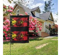 Drapeau Lion de la région du Tigré, double face, 28 x 40 pouces, décoration extérieure pour jardin