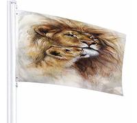 Drapeau Lion Décor 0,9 x 1,5 m Animal Faune Couple Moelleux Roi Tête Visage Zoo Amour Cool Croquis Pastel Polyester Motif Imprimé Décoration Extérieure pour Maisons et Jardins