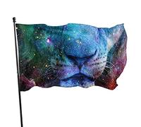 Drapeau Lion Galaxie Coloré Bannière De Drapeaux Imprimé Lavable Bannière À Œillets, Pour Les Bureaux, Les Défilés, Balcon, 90x150cm