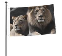Drapeau Lions mâles et femelles 61 x 91 cm Impression double face Drapeau de jardin Drapeau de cour pour l'extérieur Drapeaux de vacances Bannière cadeau avec œillets Toile de fond photo pour