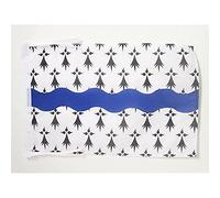 Drapeau Loire-Atlantique 45x30cm - PAVILLON département français - Pays de la Loire 30 x 45 cm haute qualité - AZ FLAG