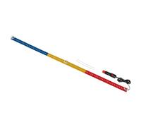 Drapeau lumineux 90 cm 72 LED 24 V Romania