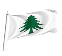 Drapeau Maison Pavillon Naval Du Massachusetts Bannière Double Face Décoratif Drapeau De Jardin Pour Dortoirs Toutes Les Saisons Chambres 152X90Cm