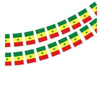 Drapeau Mali 40 pièces Drapeau Mali Guirlande Mali 11,4 M Fanions Mali Drapeau National 14 x 21 cm pour décorations de bar