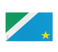 Drapeau Mato Grosso do Sul Plusieurs Tailles en Polyester 60x90cm 5. 1 œillet chaque coin