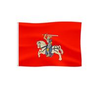Drapeau médiéval avec armoiries pour s'amuser en plein air Drapeau historique (Royaume de Lituanie)