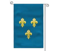 Drapeau médiéval de jardin avec armoiries - 30,5 x 45,7 cm - Double face - Drapeau d'extérieur (Royaume de France)