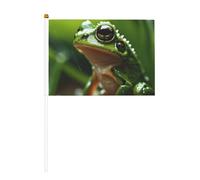 Drapeau miniature imprimé grenouille et pluie - Fournitures de fête pour défilés de la coupe du monde - Drapeaux de festival