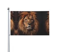 Drapeau national de luxe imprimé The Lion's Gaze résistant aux déchirures, imperméable, couleurs résistantes aux intempéries, 0,9 x 1,5 m