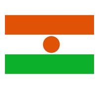 Drapeau Niger (5x3.3cm) - Sticker/Autocollant