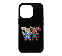 Drapeau Norvège Corée du Sud Racines norvégiano-coréennes Coque pour iPhone 13 Pro