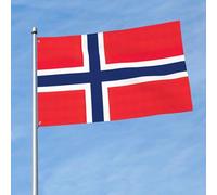 Drapeau norvégien imprimé 1,5 x 0,9 m, drapeau décoratif sur un seul côté, accroché dans la pelouse intérieure et extérieure balcons