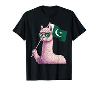 Drapeau Pakistanais Racines du Pakistan T-Shirt