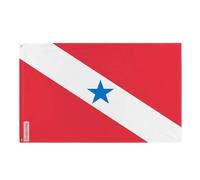 Drapeau Pará Plusieurs Tailles en Polyester 60x90cm 5. 1 œillet chaque coin