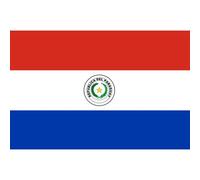 Drapeau Paraguay (19.5x13cm) - Sticker/Autocollant