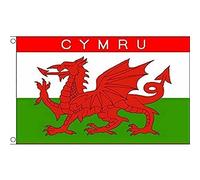 Drapeau Pays de Galles Cymru 90x60cm - Drapeau gallois 60 x 90 cm - Drapeaux - AZ FLAG