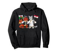 Drapeau Pays de Galles Égypte Racines galloises égyptien Sweat à Capuche