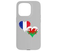 Drapeau Pays de Galles France du Gallois Français Rugby Fans Coque pour iPhone 15 Pro