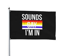 Drapeau Personnalisé Drapeaux Ça A L'Air Gay, J'En Suis Couleurs Vives Bannière Extérieure Pour Maison Événements Décorations 90X150Cm