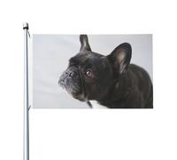 Drapeau personnalisé en polyester représentant un adorable chiot bouledogue français noir (152 x 91 cm) avec œillets. Dimensions : 152 x 91 cm.