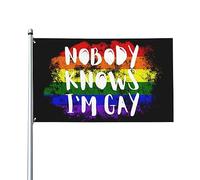 Drapeau « Personne ne sait que je suis gay » 3 x 5 - Bannière de fierté LGBTQ amusante pour cour, jardin ou extérieur