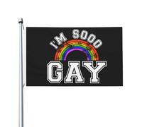 Drapeau Pirate Je Suis Tellement Gay Pride Rainbow Décoration Flag Protection Uv Drapeaux Pour Intérieur Patio Événements Sportifs 3X5Ft
