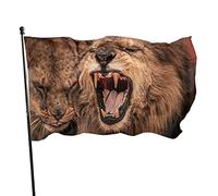 Drapeau Pirate Lion Couture Double Face Drapeau Couleur Vive Garden Flag Pour Jardin L'Extérieur Événements Sportifs 90X150Cm