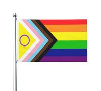 Drapeau Pirate Rainbow Gay Progress Pride Intersex Inclusive Protection Uv Flag Weather Resistant Bannière Pour Decor Patio Célébrations 3X5Ft