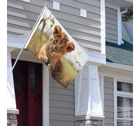 Drapeau pour extérieur - 1,2 x 1,8 m - Robuste - Pour intérieur et extérieur - Pour jardin - Pour tous les temps - Joli petit animal lion - Drapeau de bienvenue - Drapeau de maison double face avec