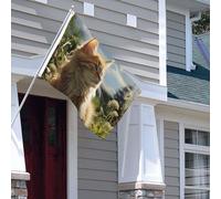 Drapeau pour extérieur - 1,2 x 1,8 m - Robuste - Pour intérieur et extérieur - Pour toutes les saisons - Chat assis dans un champ vert - Drapeau de bienvenue - Drapeau de maison double face avec
