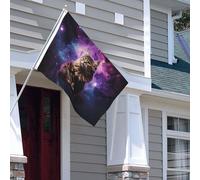 Drapeau pour extérieur - 1,2 x 1,8 m - Robuste - Pour intérieur et extérieur - Pour toutes les saisons - Chat assis à l'intérieur de la nébuleuse - Drapeau de bienvenue - Drapeau de maison double face