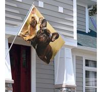 Drapeau pour extérieur - 1,2 x 1,8 m - Robuste - Pour intérieur et extérieur - Pour toutes les saisons - Joli bouledogue français - Drapeau de bienvenue - Drapeau double face avec œillets en laiton