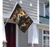 Drapeau pour extérieur - 1,2 x 1,8 m - Robuste - Pour intérieur et extérieur - Pour toutes les saisons - Photos de Corgi - Drapeau de bienvenue - Drapeau de maison double face avec œillets en laiton
