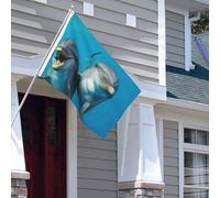 Drapeau pour extérieur - 1,2 x 1,8 m - Robuste - Pour intérieur et extérieur - Pour toutes les saisons - Visage souriant - Dauphins - Drapeau de bienvenue - Drapeau de maison double face avec œillets