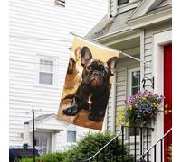 Drapeau pour extérieur de 0,9 x 1,5 m - Robuste - Pour intérieur et extérieur - Pour toutes les saisons - Joli bouledogue français - Drapeau de bienvenue - Drapeau double face avec œillets en laiton