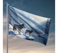 Drapeau pour garçons avec deux loups au pays des merveilles d'hiver, décoration de porte de chambre à coucher, dortoir universitaire (152 x 244 cm)