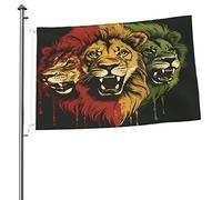 Drapeau Rasta Lions 2x3 FT Double Face Extérieur, Grande Bannière Maison Drapeau Yard Décoration Extérieure