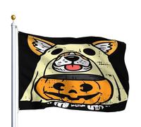 Drapeau Renforcé Drapeaux Drôle De Squelette Chassant Un Corgi Halloween Chien Maman Amoureux Des Animaux Avec Œillets Bannière Extérieure Pour Célébration Anniversaire Décorations 90X150Cm