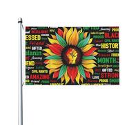 Drapeau Renforcé Drapeaux Mois De L'Histoire Des Noirs Fierté Afro-Américaine Célébrez Le Tournesol Résistant À La Décoloration Bruant Pour Décorations Jardin Bar 90X150Cm