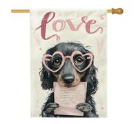 Drapeau romantique pour maison de chien, lunettes fantaisistes en forme de cœur, Saint-Valentin, pêche, double face, en toile de jute pour porche, extérieur, cour, pelouse, patio, porte, entrée, 71,1