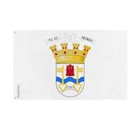 Drapeau San Pedro de Jujuy Plusieurs Tailles en Polyester 60x90cm 4. 2 œillets à gauche avec bande blanche