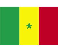 Drapeau Sénégal - 150 x 90 cm